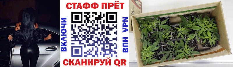 Где купить наркоту Тюкалинск Гашиш Псилоцибиновые грибы Мефедрон КОКАИН