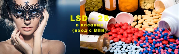 индика Белоозёрский