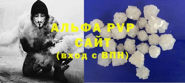 индика Белоозёрский