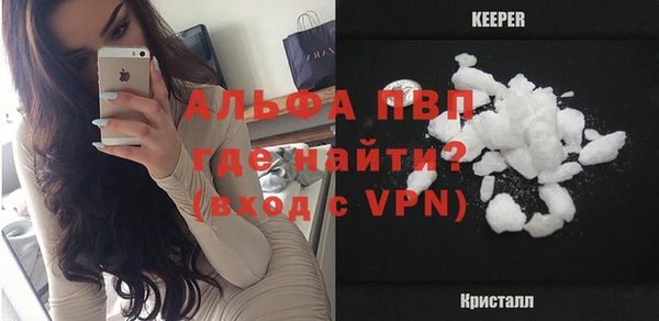 индика Белоозёрский