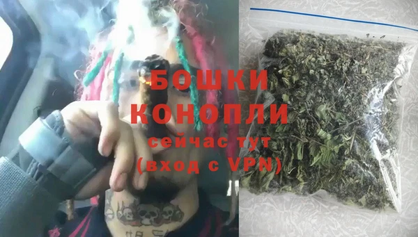 индика Белоозёрский