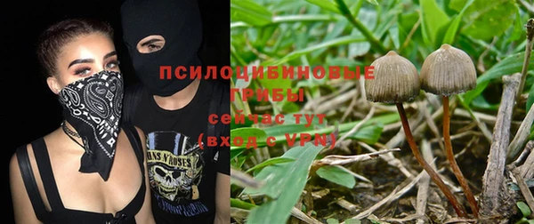 меф Беломорск