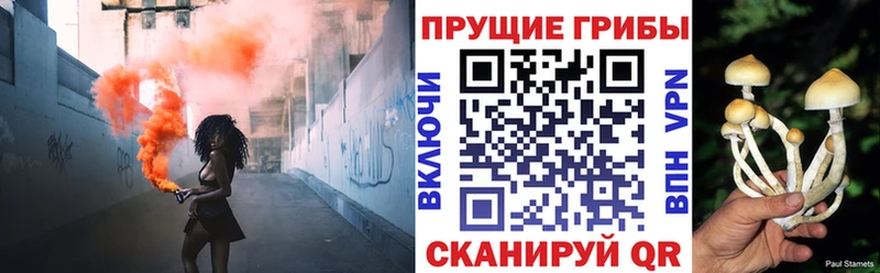 хочу наркоту  Тюкалинск  Псилоцибиновые грибы Magic Shrooms 